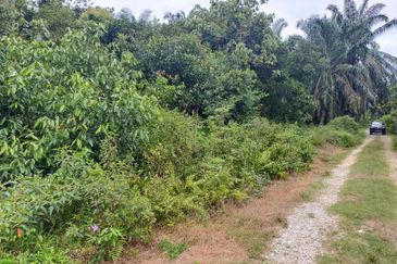 Agriculture Land @ Taiping