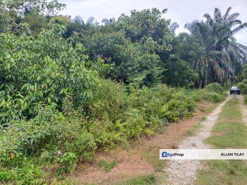 Kamunting Non Bumi Freehold Vacant Land, Perak, Taiping