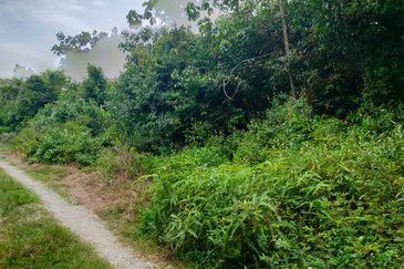 Agriculture Land @ Taiping