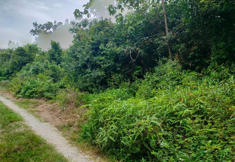 Agriculture Land @ Taiping