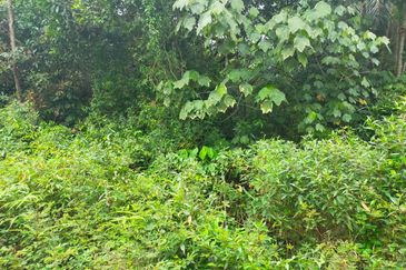 Agriculture Land @ Taiping