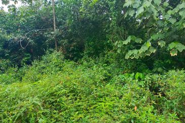 Agriculture Land @ Taiping