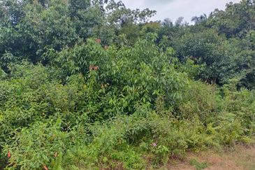 Agriculture Land @ Taiping