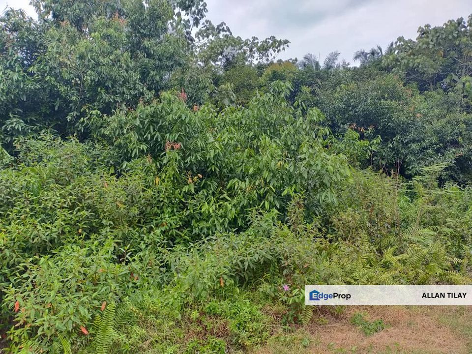 Kamunting Non Bumi Freehold Vacant Land, Perak, Taiping