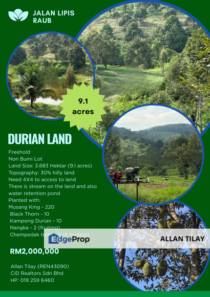 Raub Gali Durian Land, Pahang, Bentong