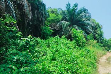 RUMAH RAKYAT TELOK KEMANG