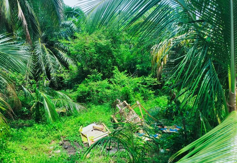 RUMAH RAKYAT TELOK KEMANG
