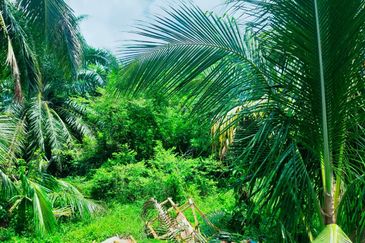 RUMAH RAKYAT TELOK KEMANG