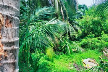 RUMAH RAKYAT TELOK KEMANG