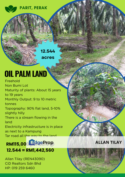 Parit Perak Oil Palm Plantation, Perak, Parit