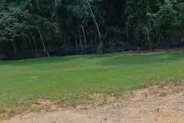 Staffield Country Resort