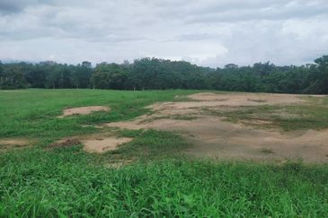 Staffield Country Resort