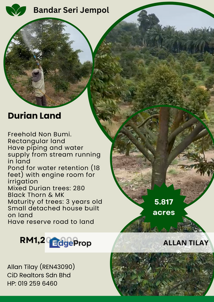 Bandar Seri Jempol Durian Plantation, Negeri Sembilan, Jempol