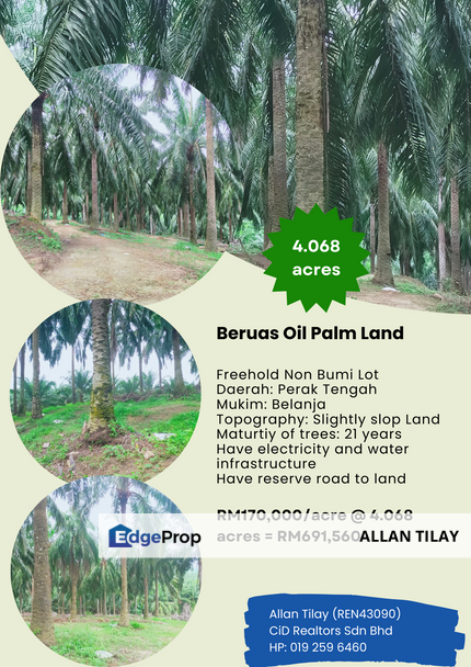 Beruas Oil Palm Land, Perak, Beruas
