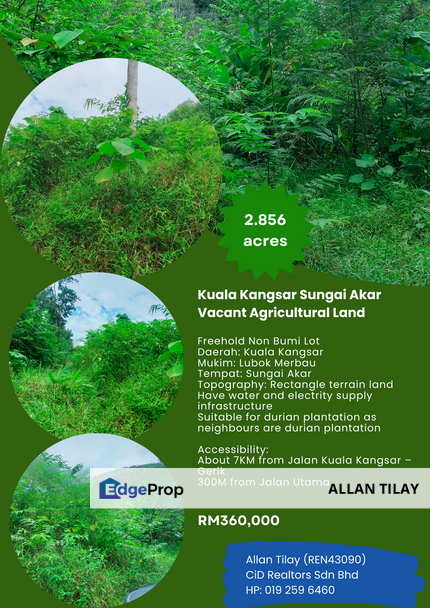 Kuala Kangsar Sungai Akar Vacant Agricultural Land, Perak, Kuala Kangsar