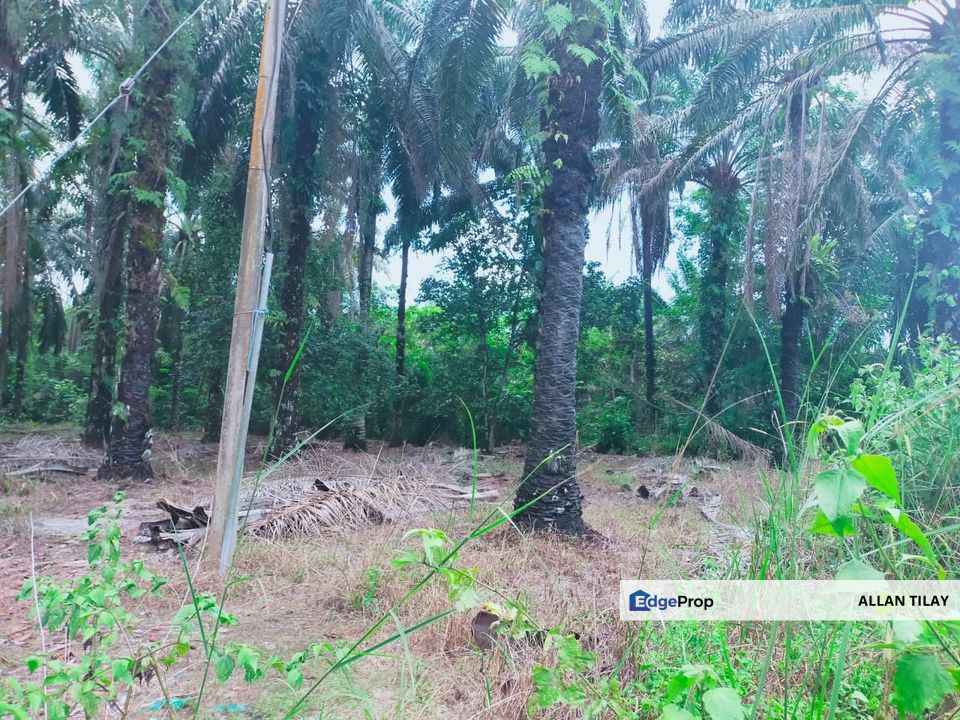 Air Kuning Kampar Vacant Land, Perak, Kampar