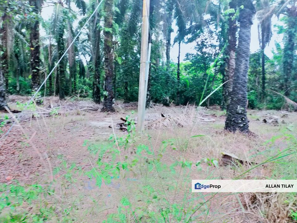 Air Kuning Kampar Vacant Land, Perak, Kampar