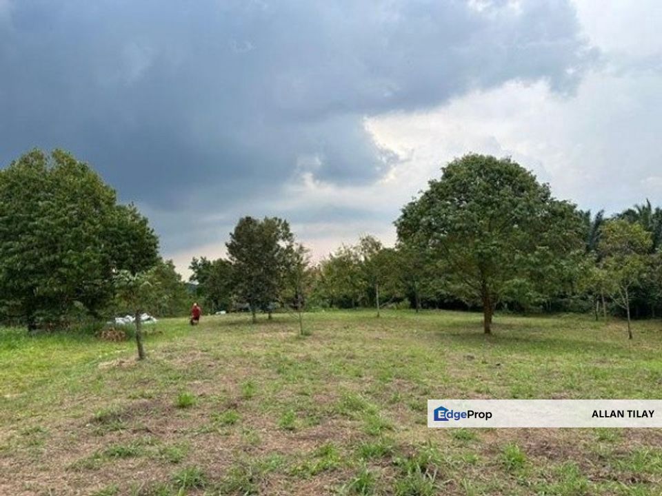 Durian Plantation @ Sungkai, Perak, Sungkai