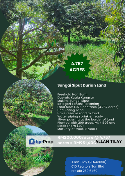 Sungai Siput Durian Land, Perak, Kuala Kangsar