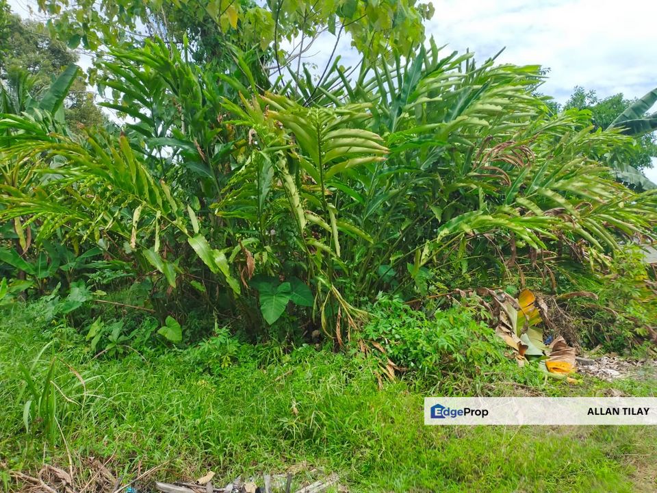 Taiping Taman Eliathamby Residential Land, Perak, Taiping