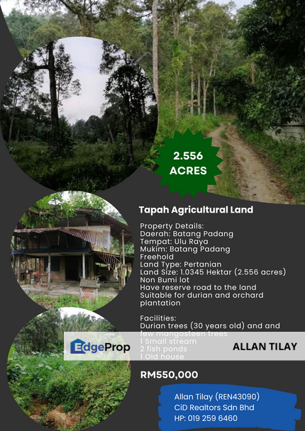 Tapah Ulu Raya Agricultural Land , Perak, Tapah