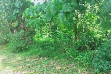 Taman Rawang Perdana