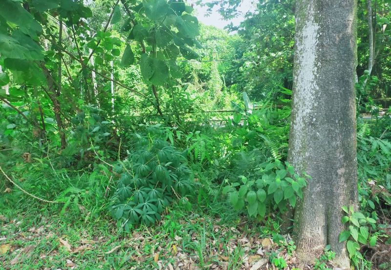 Taman Rawang Perdana