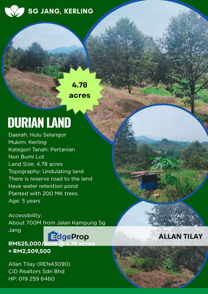 Kerling Durian Plantation , Selangor, Hulu Selangor