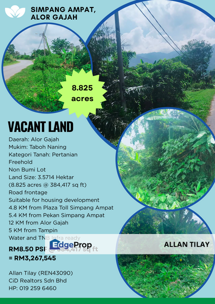 Simpang Ampat Tampin Vacant Land, Melaka, Alor Gajah