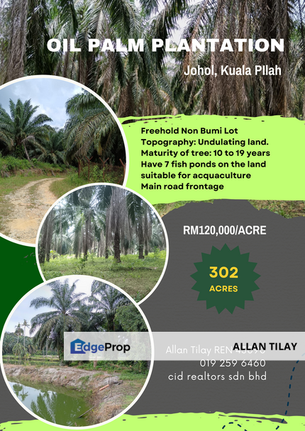 Johol Oil Palm Plantation, Negeri Sembilan, Kuala Pilah