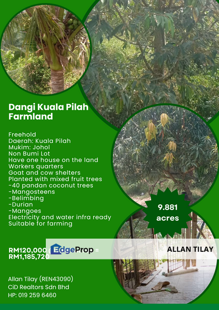 Dangi Kuala Pilah Farmland, Negeri Sembilan, Kuala Pilah