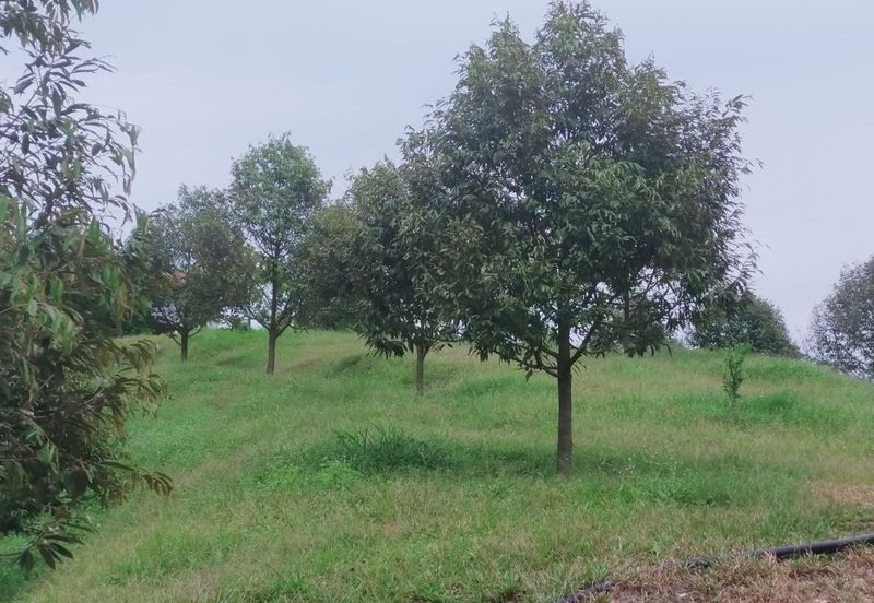 Kerling Industrial Land