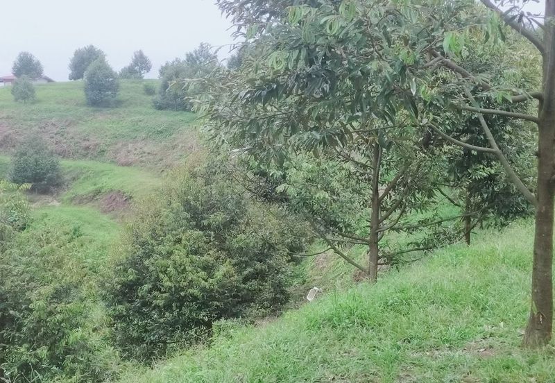 Kerling Industrial Land