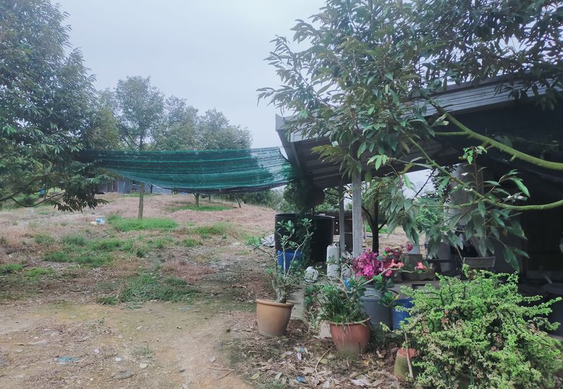 Kerling Industrial Land