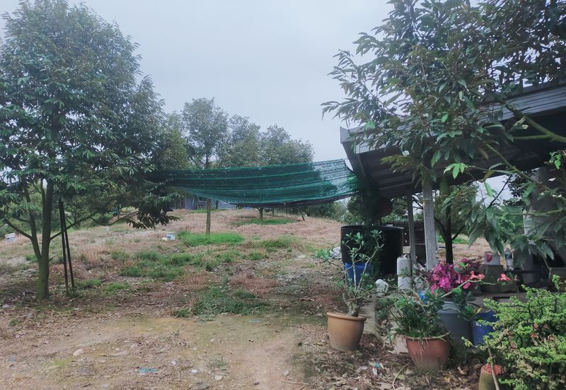 Kerling Industrial Land