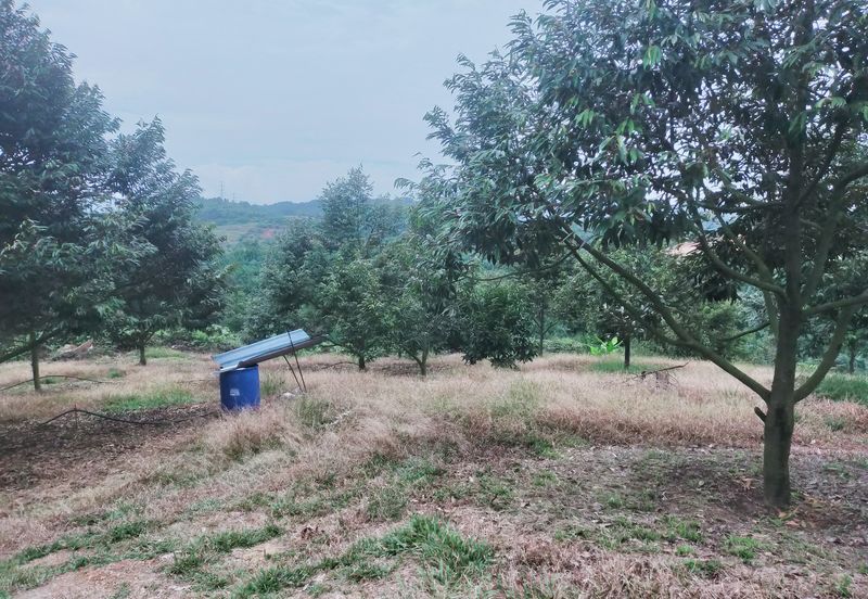 Kerling Industrial Land