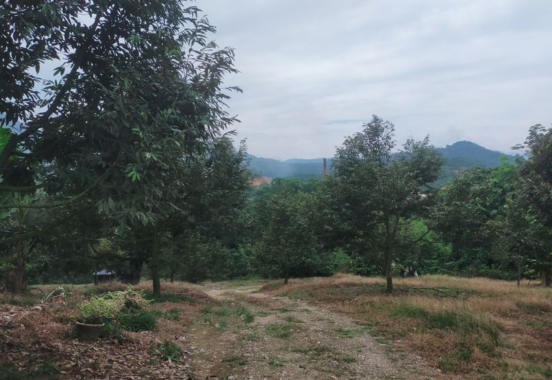 Kerling Industrial Land