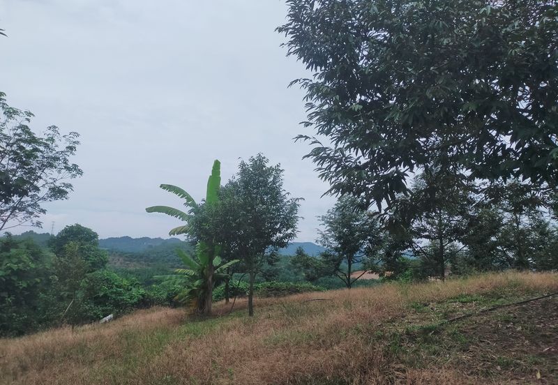 Kerling Industrial Land