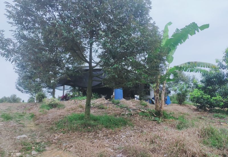 Kerling Industrial Land