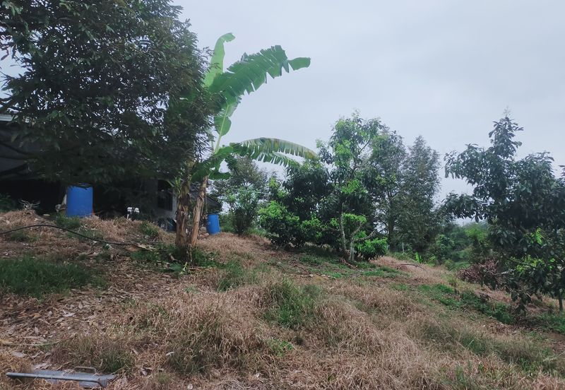 Kerling Industrial Land