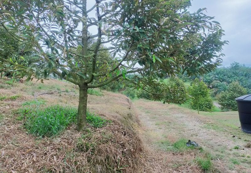 Kerling Industrial Land