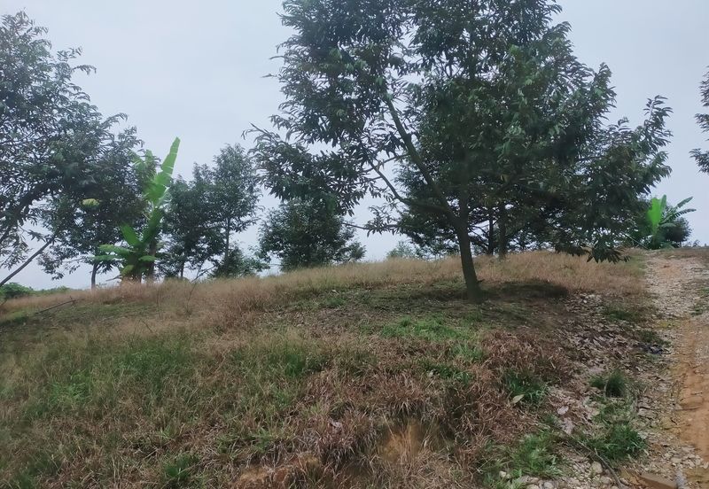 Kerling Industrial Land