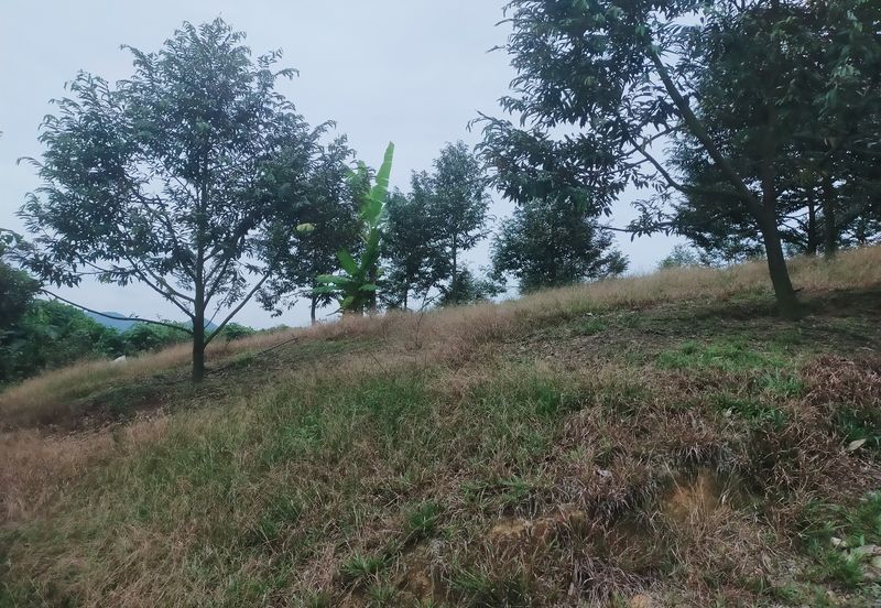 Kerling Industrial Land