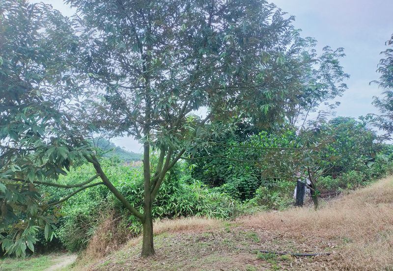 Kerling Industrial Land