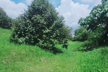 Jalan Mahagoni 2a/7, Pekan Batang Kali