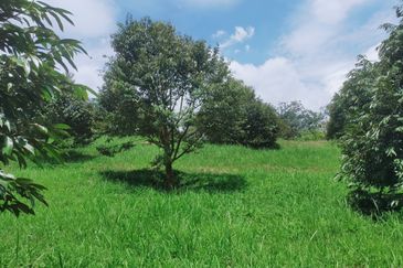 Jalan Mahagoni 2a/7, Pekan Batang Kali