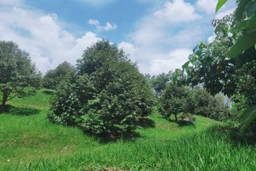 Jalan Mahagoni 2a/7, Pekan Batang Kali