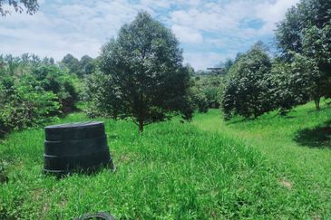 Jalan Mahagoni 2a/7, Pekan Batang Kali