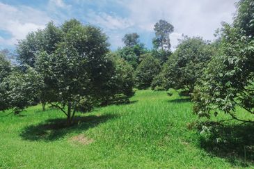 Jalan Mahagoni 2a/7, Pekan Batang Kali