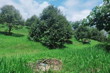 Jalan Mahagoni 2a/7, Pekan Batang Kali